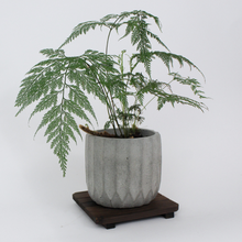 Load image into Gallery viewer, Fluted Textured Planter