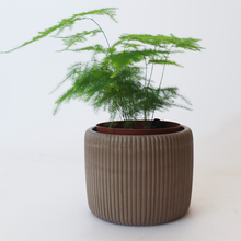 Load image into Gallery viewer, Ribbed Round Planter
