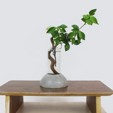 Load image into Gallery viewer, Dome Vase