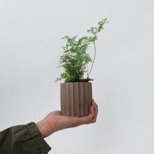 Load image into Gallery viewer, Ribbed Vessel Planter