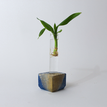 Load image into Gallery viewer, 'Earth' Cubic Propagation Station