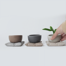 Load image into Gallery viewer, Pillow Planter Set - Mix & Match