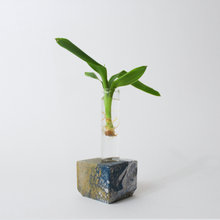 Load image into Gallery viewer, 'Earth' Cubic Propagation Station