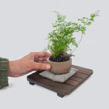 Load image into Gallery viewer, Pillow Planter Set - Mix & Match