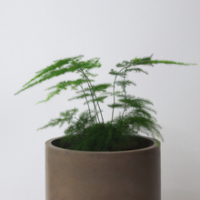 Load image into Gallery viewer, 5" Round Basic Planter