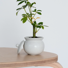Load image into Gallery viewer, Honey Pot / Planter