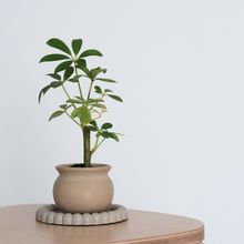 Load image into Gallery viewer, Honey Pot / Planter