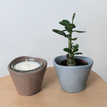 Load image into Gallery viewer, Asymmetric Vessel