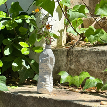 Load image into Gallery viewer, Wrinkled Bottle Vase