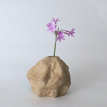 Load image into Gallery viewer, Organic Rock Vase