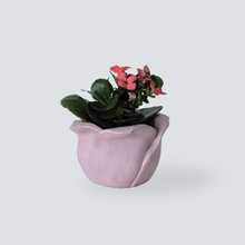 Load image into Gallery viewer, Rose Vessel Planter