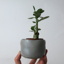 Load image into Gallery viewer, Wabi Vessel Planter