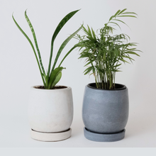 Load image into Gallery viewer, Zian Planter