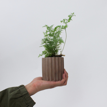 Load image into Gallery viewer, Ribbed Vessel Planter
