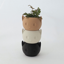 Load image into Gallery viewer, Cat Planter for Jiro&#39;s Fundraiser
