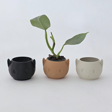 Load image into Gallery viewer, Cat Planter for Jiro&#39;s Fundraiser
