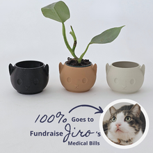 Load image into Gallery viewer, Cat Planter for Jiro&#39;s Fundraiser
