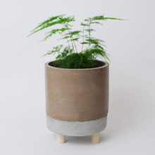 Load image into Gallery viewer, Mix &amp; Match Planter with Wooden Legs
