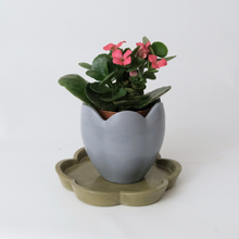 Load image into Gallery viewer, Simple Flower Planter
