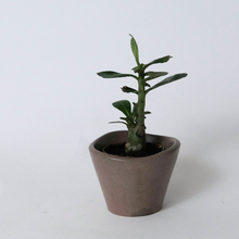 Load image into Gallery viewer, Asymmetric Vessel
