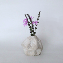 Load image into Gallery viewer, Organic Rock Vase
