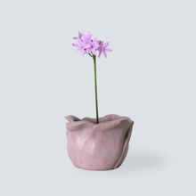 Load image into Gallery viewer, Rose Vessel Planter
